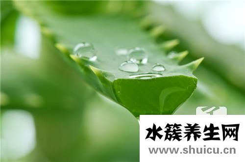 純棉和全棉的區別
