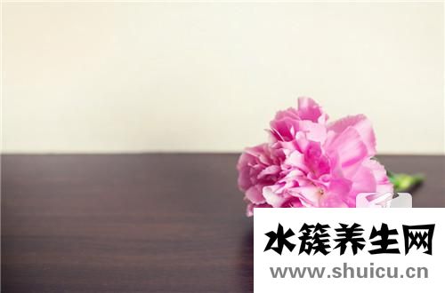 丁香的作用