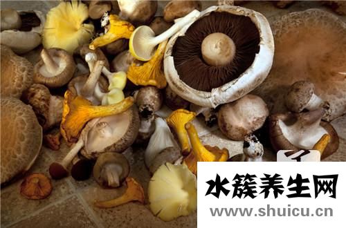 錫紙金針菇