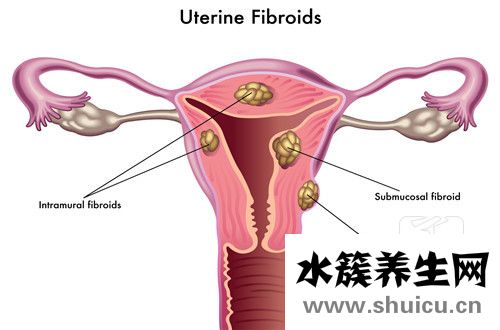 子宮內膜厚度正常值