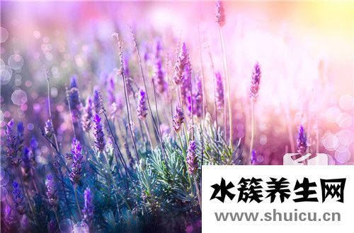 祛疤精油