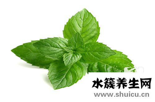 薄荷女性網