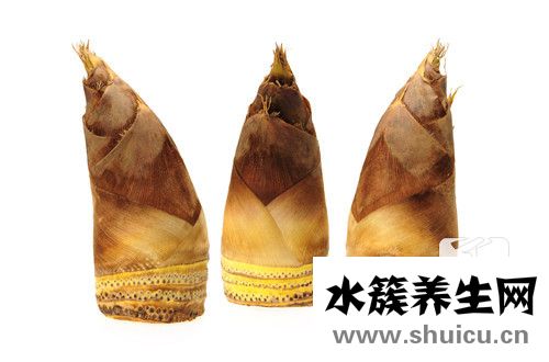 冬筍是什么