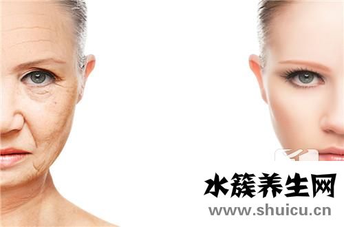 面部除皺針