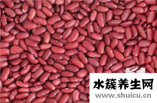 食療養生網