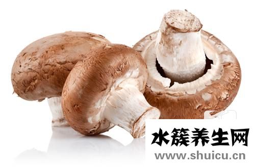 猴頭菇的泡發