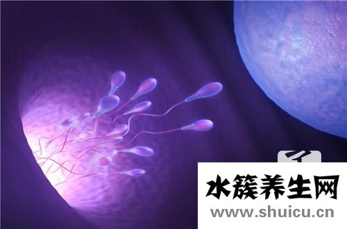 子宮長息肉