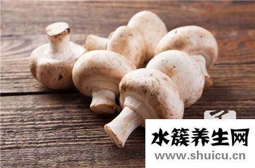 猴頭菇的泡發
