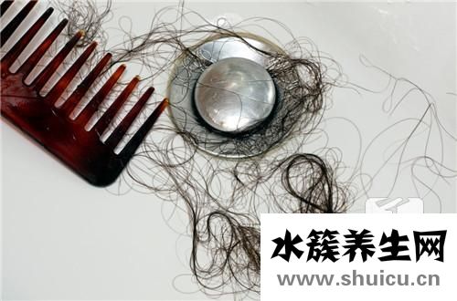 頭發掉是咋回事