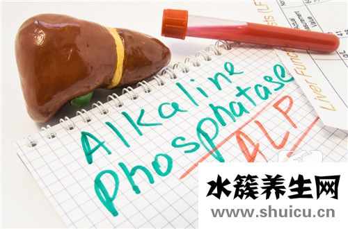 乙肝核心抗體呈陽性