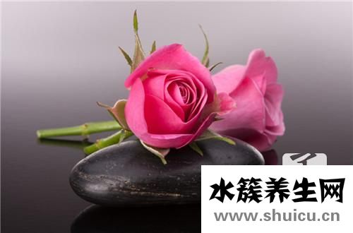 鮮花怎么保鮮