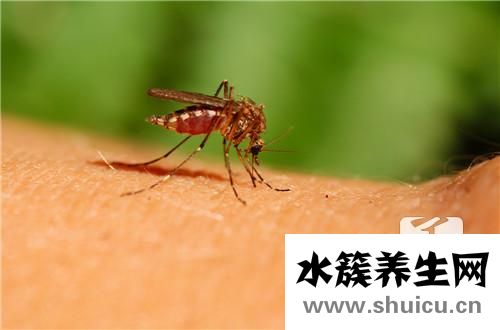 防蚊蟲