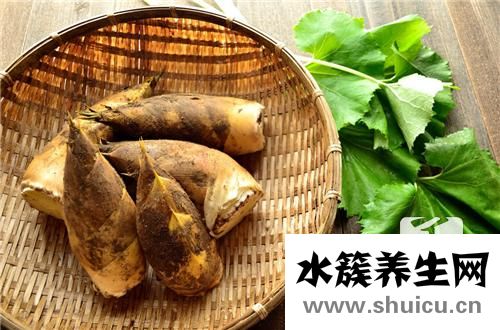 淡竹葉的作用