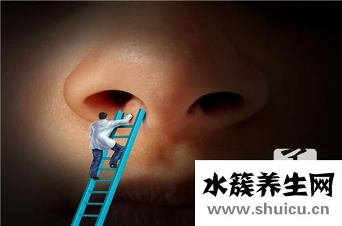 菲林斯