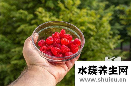 蔓越莓作用