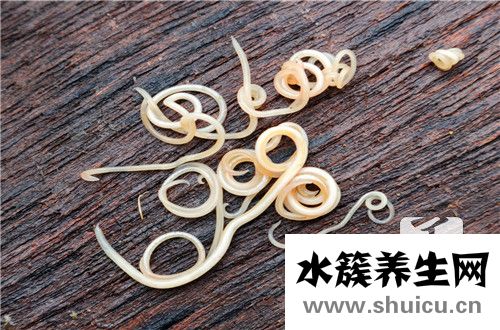 滅蟲寧