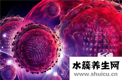 肝功指標