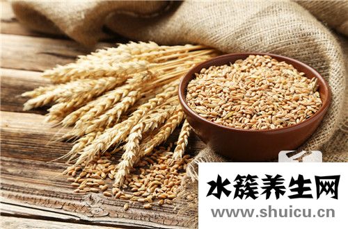 小麥草汁