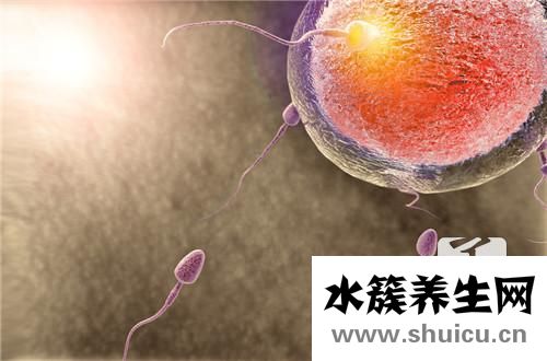 受精卵著床失敗