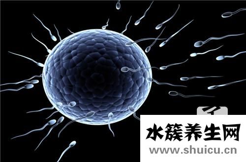 受精卵著床失敗