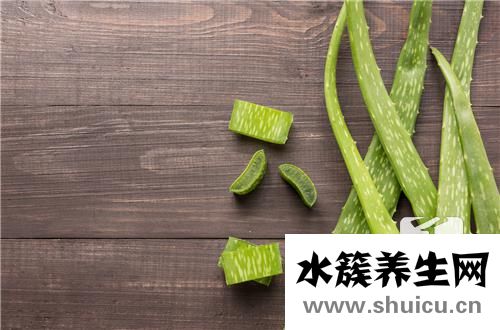 蘆薈祛斑