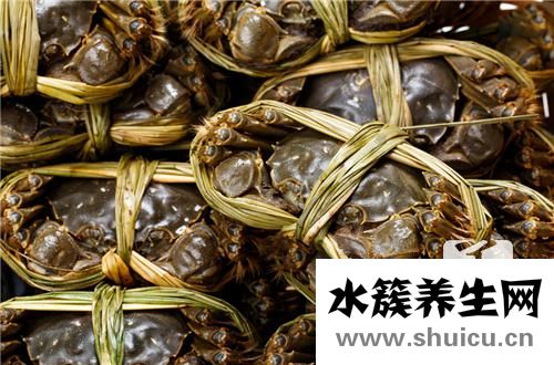 螃蟹的營養價值