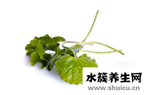 賴氨酸鹽酸鹽