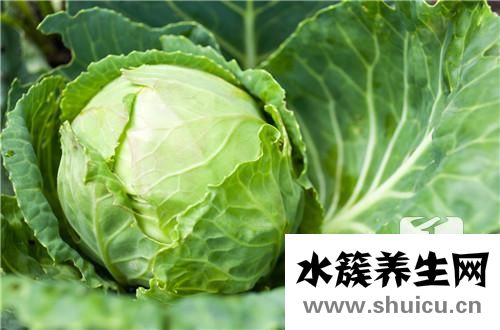 干煸大頭菜的做法