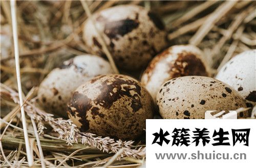 鵝蛋營養
