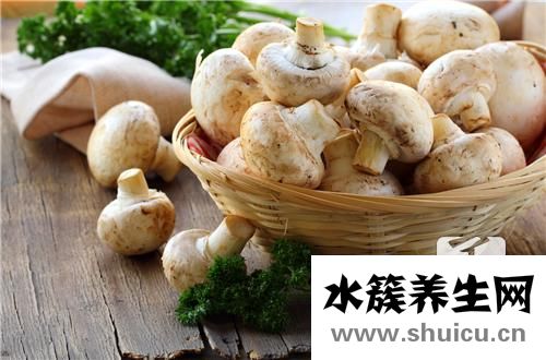 香菇菜心的做法