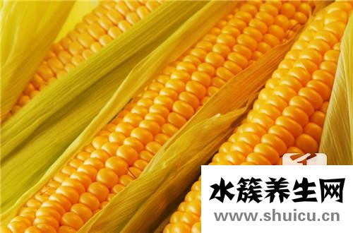 鮮玉米