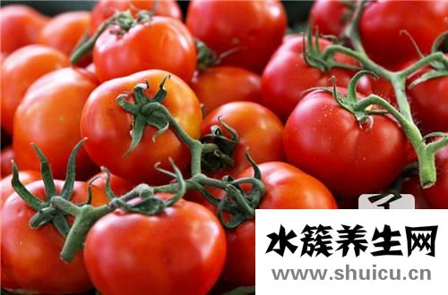 西紅柿可以減肥嗎