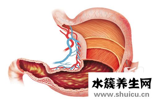 腸胃炎吃什么藥好