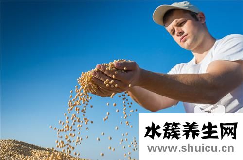 黃豆的做法大全