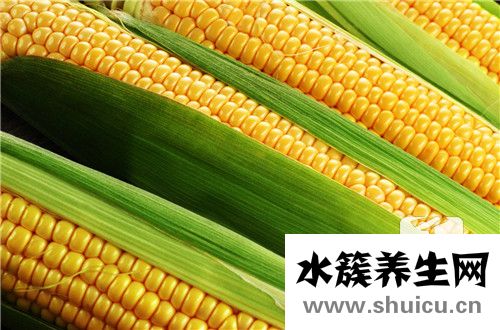 鮮玉米