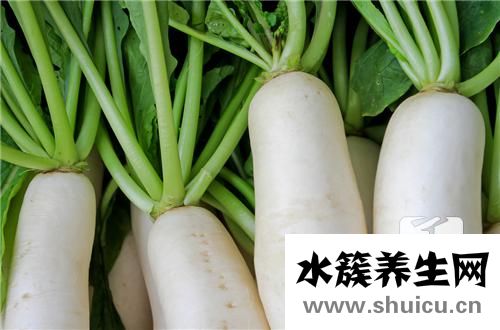 支氣管炎的食療