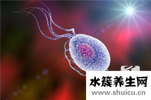 尿道炎吃什么