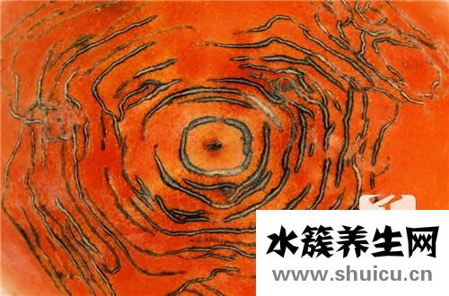 柿子的熱量