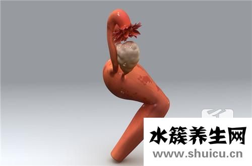 造影手術