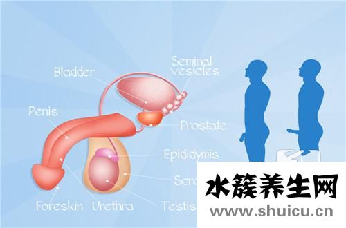 附睪炎怎么治療