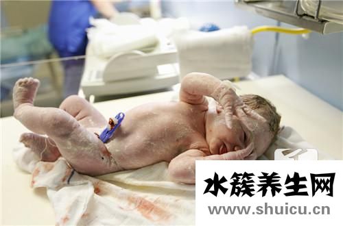 護臍貼