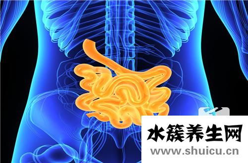 腸梗阻手術