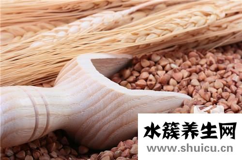 苦蕎麥茶