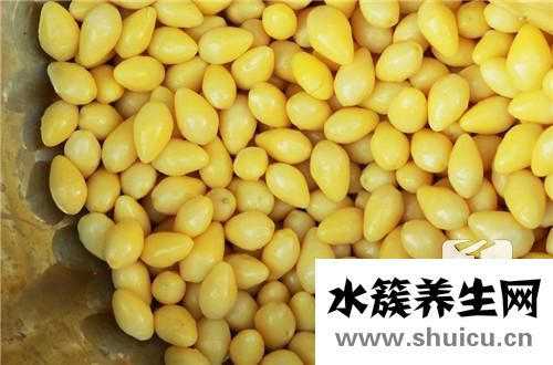 銀杏樹的特點
