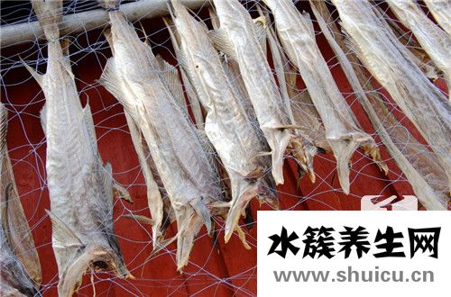 活章魚