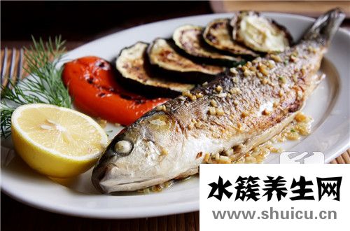 活章魚