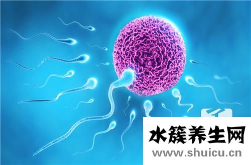 男人長期不排精好嗎