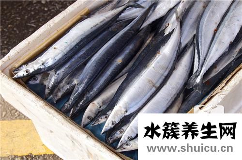 鯛魚刺身