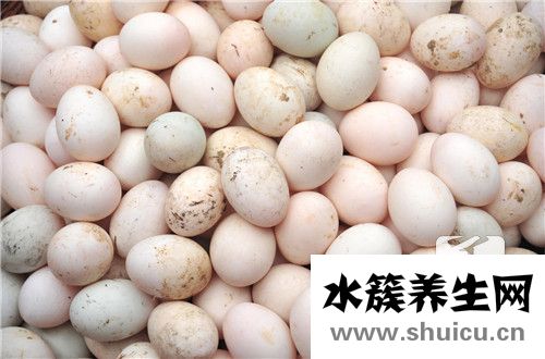 懷孕吃鵝蛋