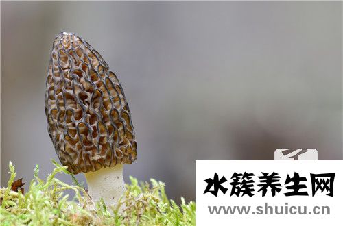 外用藥